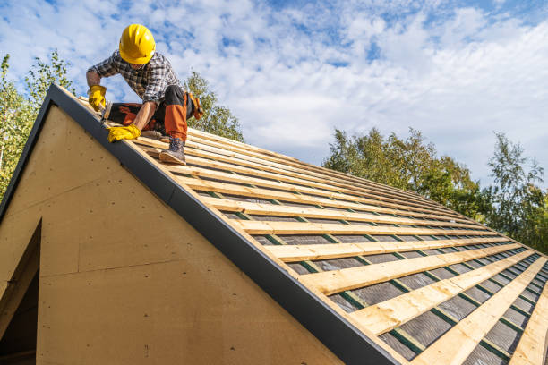 Best Roof Gutter Cleaning  in Ranchester, WY